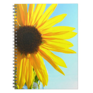 Espiral Caderno do girassol