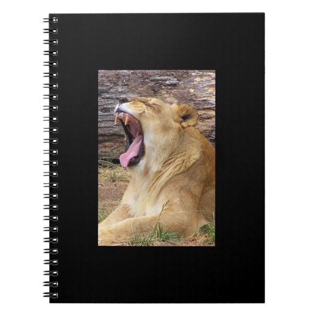 Espiral Caderno do Leão (Frente)