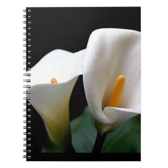 Espiral Caderno do lírio de Calla (Frente)