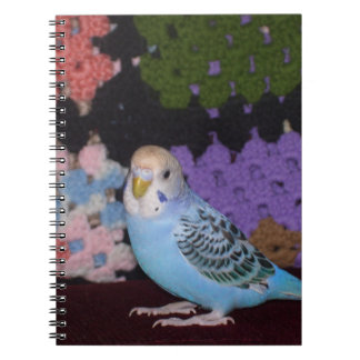 Espiral Caderno do Parakeet