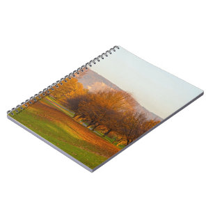 Espiral Caderno do Parque Rheinaue