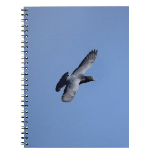 Espiral Caderno do pombo de competência em vôo
