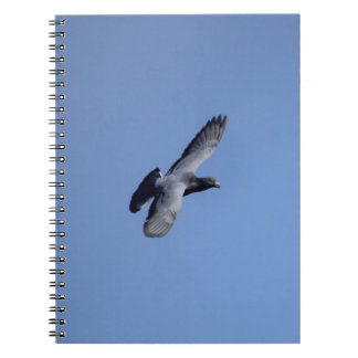 Espiral Caderno do pombo de competência em vôo