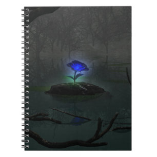 Espiral Caderno do rosa do azul