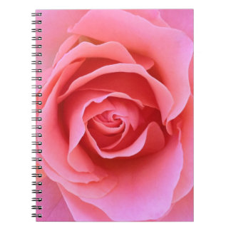 Espiral Caderno do rosa do rosa
