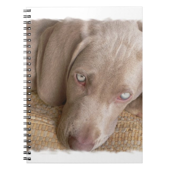 Espiral Caderno do sono Weimaraner (Frente)