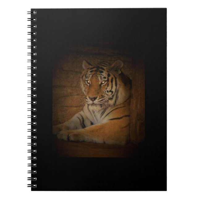 Espiral Caderno do Tigre (Frente)
