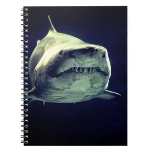 Espiral Caderno do tubarão
