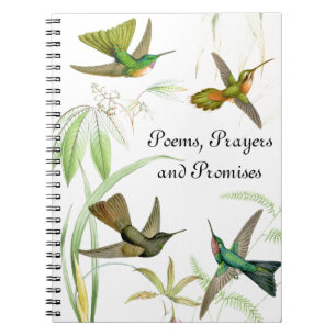 Espiral Caderno dos colibris de Goulds