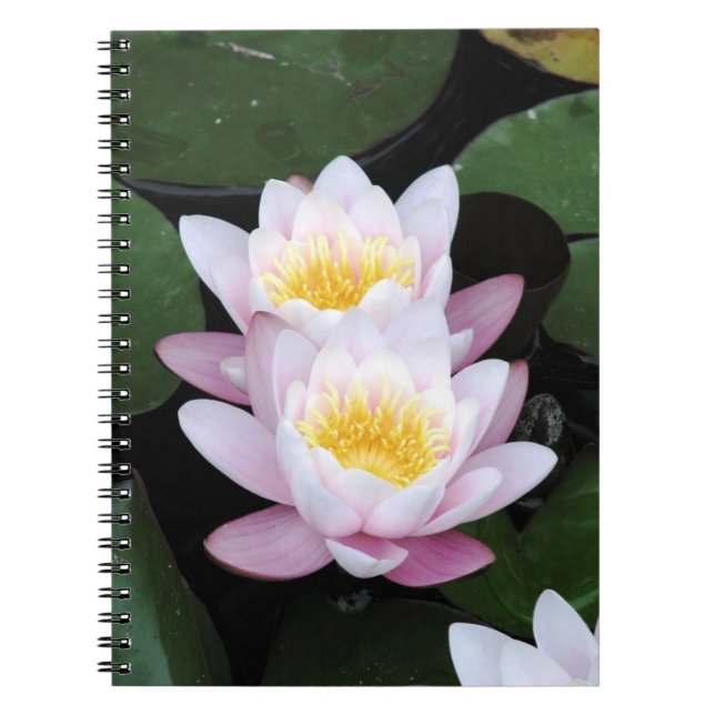 Espiral Caderno dos lírios de água (Frente)
