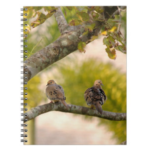 Espiral Caderno dos pássaros das pombas de lamentação