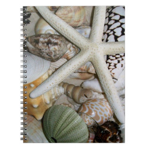 Espiral Caderno dos Seashells