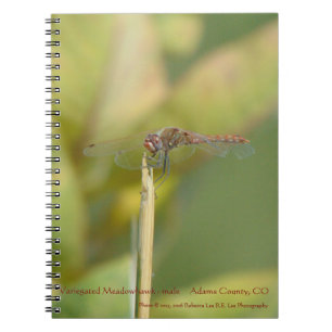 Espiral Caderno encadernado com foto de libélula