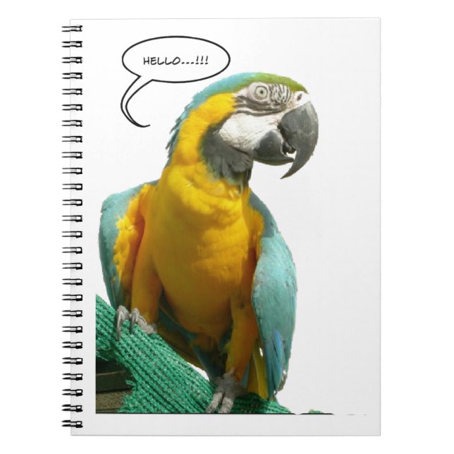 Espiral Caderno engraçado do papagaio de fala (Frente)