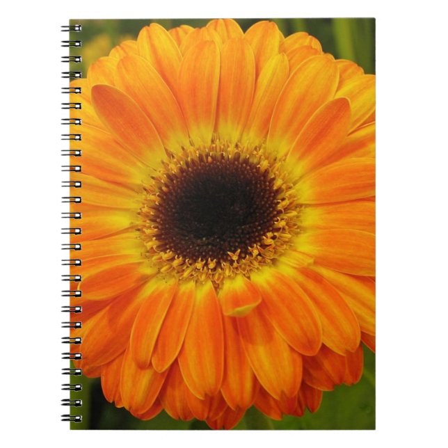 Espiral Caderno Flor de Laranja (Frente)