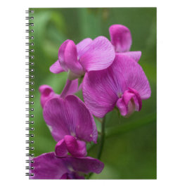 Espiral Caderno floral dos Wildflowers cor-de-rosa bonito