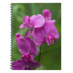 Espiral Caderno floral dos Wildflowers cor-de-rosa bonito