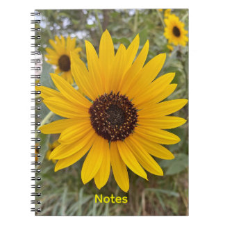 Espiral Caderno Floral Girassol Dourado
