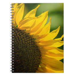 Espiral Caderno - Fotografia da Natureza de Girassol Flor