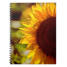 Espiral Caderno - Fotografia de Girassol no Campo