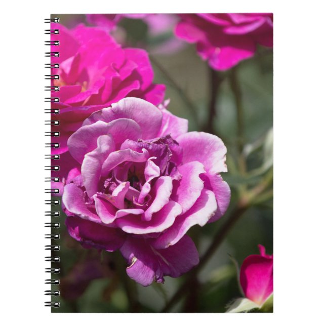 Espiral Caderno - Fotografia de Rosas Lindas (Frente)
