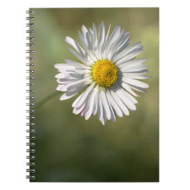 Espiral Caderno - Fotografia Floral de Margarida