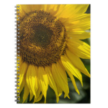 Caderno - Girassol Amarelo