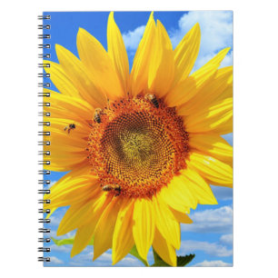 Espiral Caderno Girassol Amarelo