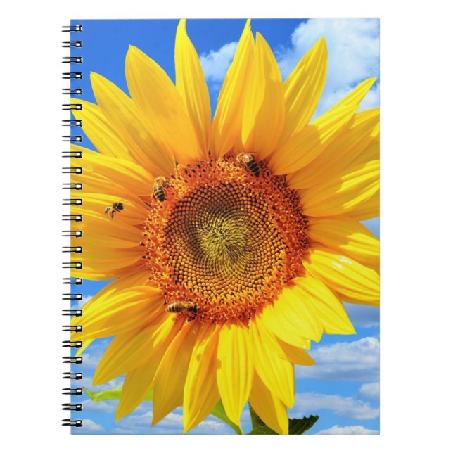 Espiral Caderno Girassol Amarelo (Frente)