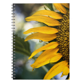 Espiral Caderno - Girassol Com Gotículas de Chuva