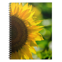 Espiral Caderno - Girassol no Campo
