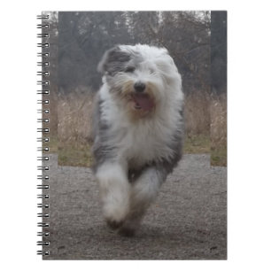 Espiral Caderno inglês velho do Sheepdog - funcione o cã