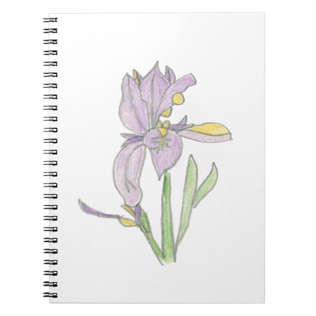 Espiral Caderno Iris (Frente)