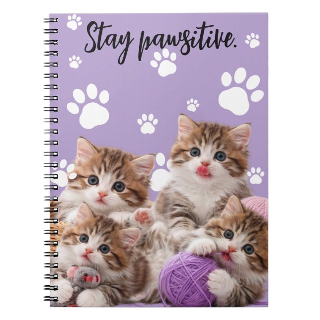 Espiral Caderno Kitten Stay Pawsitive (Frente)