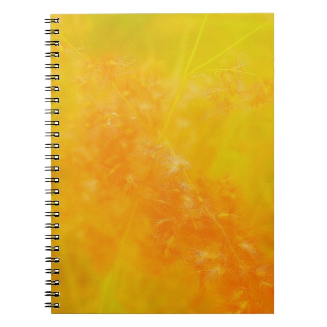 Espiral Caderno Laranja Brilhante (Frente)