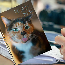 Espiral Caderno Língua de Gata Maliciosa Calico
