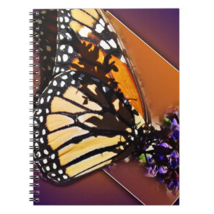 Espiral Caderno macio das asas