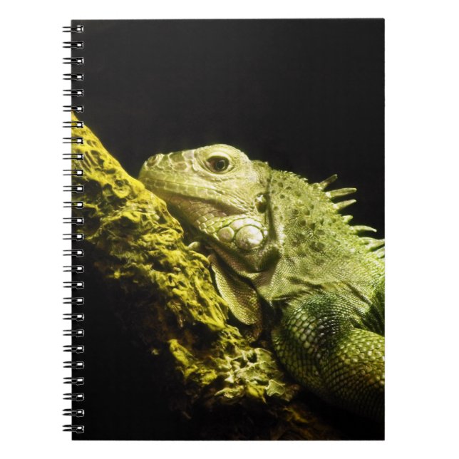 Espiral Caderno nobre da iguana (Frente)