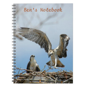 Espiral Caderno novo de Bens dos falcões dos Ospreys
