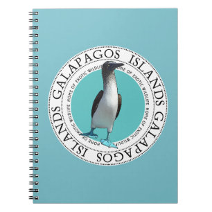 Espiral Caderno pagado azul do Booby