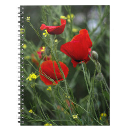 Espiral Caderno - Papoulas Vermelhas