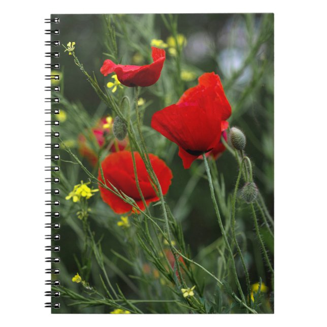 Espiral Caderno - Papoulas Vermelhas (Frente)