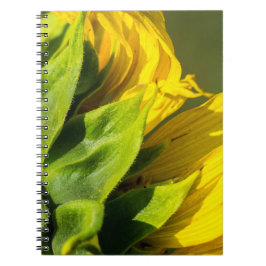 Espiral Caderno - Perfil de Girassol Posterior
