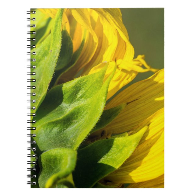 Espiral Caderno - Perfil de Girassol Posterior (Frente)