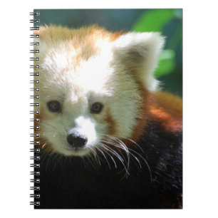 Espiral Caderno - personalizado