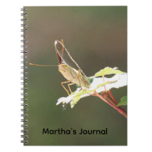 Caderno Personalizado Borboleta Olhos Grandes Clos