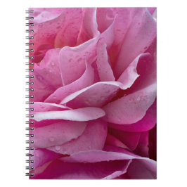 Espiral Caderno - Pétalas de Rosa Rosa e Gotículas de Orva