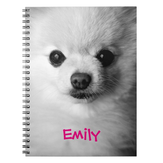 Espiral Caderno precioso de Pomeranian (Frente)