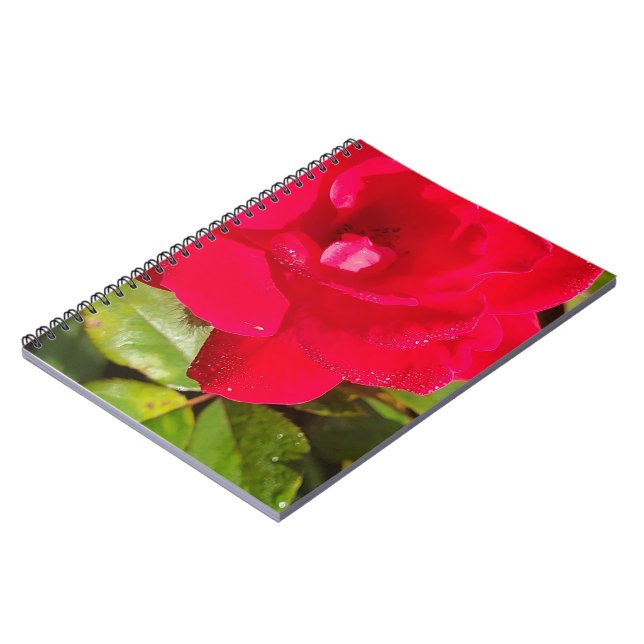 Espiral Caderno Rosa (Left Side)