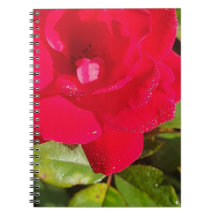 Caderno Rosa